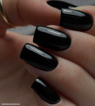500 Absolute Black.png